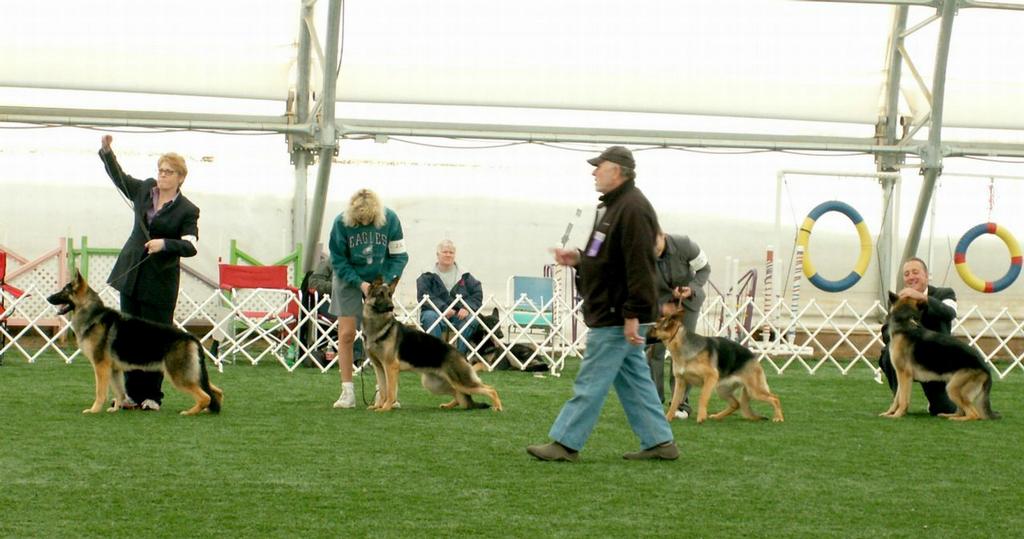 Pictures for Lehigh German Shepherd Dog Club Inc in Catasauqua, PA 18032